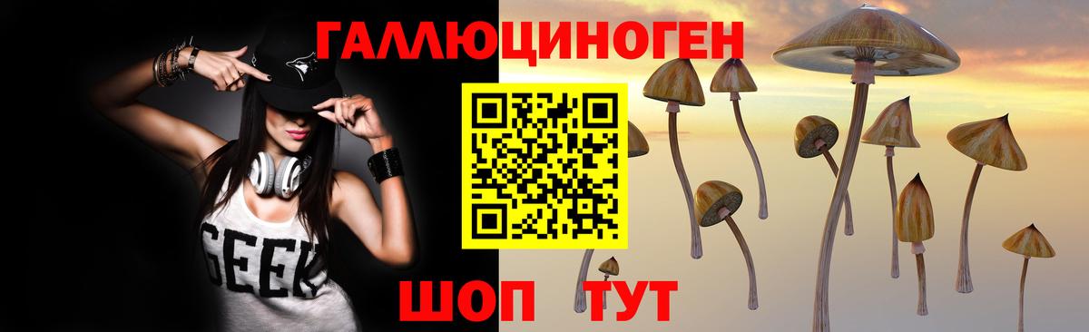 Псилоцибиновые грибы GOLDEN TEACHER  Вход с VPN  Омск 